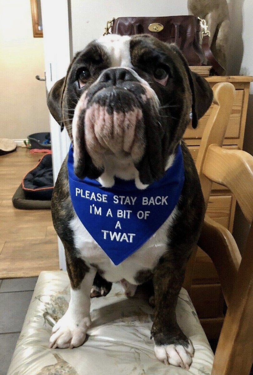 Sarah Simons tweet media