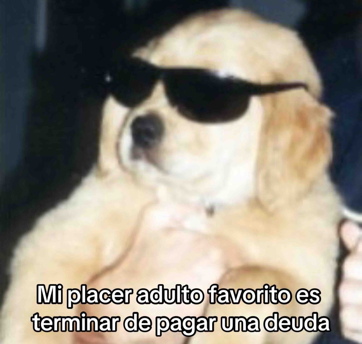 El Guarromántico (@guarromantico_) on Twitter photo El mejor! El mejor!