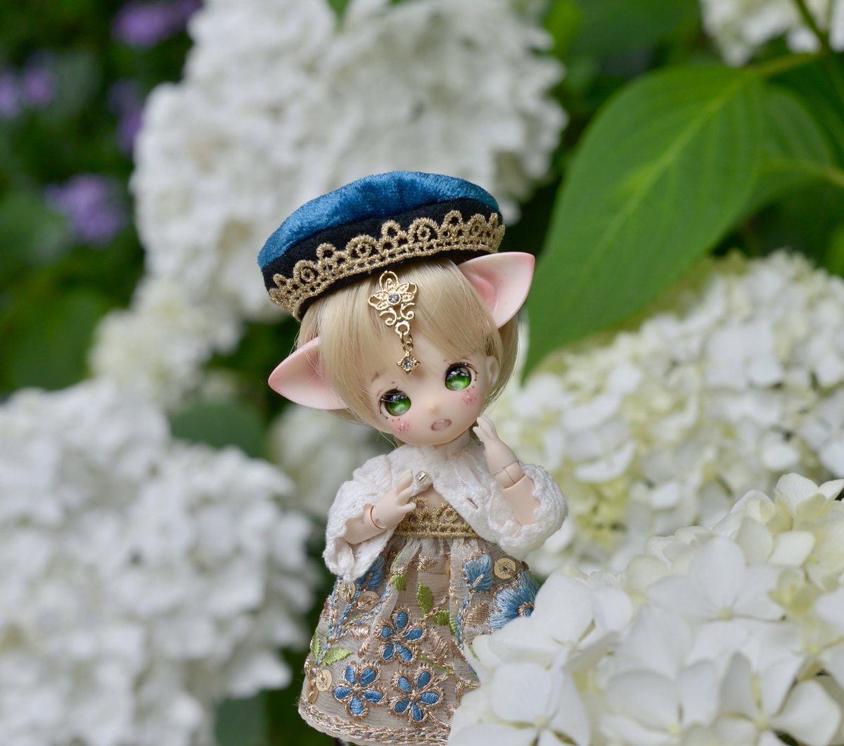 akawigus's tweet photo. 白い紫陽花たんは自然のレフ板みたい💠☁️
#花かごの小部屋 #TorteOpera #おはドル https://t.co/uM8w6VuyxK