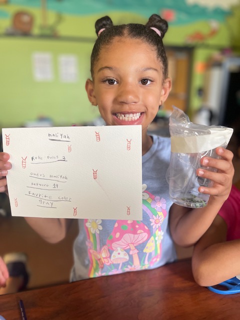 KidsCareGCSD (@kidscaregcsd) on Twitter photo The bug hunting and observations are pretty serious <a href="/BrooksideTweet/">Brookside Elementary</a>! The children have even started naming them and drawing up birth certicates! 🔍🪲🐞🐛🔍 <a href="/JulieParsons203/">Julie Parsons</a> <a href="/GreeceCentral/">Greece Central</a> The bug hunting and observations are pretty serious <a href="/BrooksideTweet/">Brookside Elementary</a>! The children have even started naming them and drawing up birth certicates! 🔍🪲🐞🐛🔍 <a href="/JulieParsons203/">Julie Parsons</a> <a href="/GreeceCentral/">Greece Central</a>