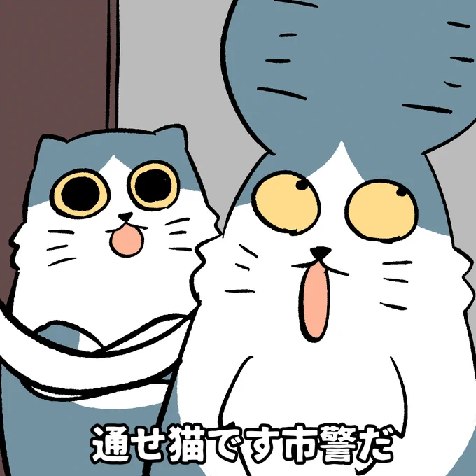 #本ミリバール
猫です通ります 