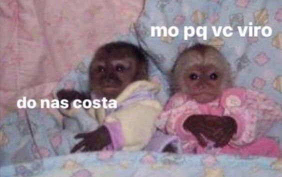 memeparaoarroba's tweet photo. https://t.co/OWCc8IlDY3