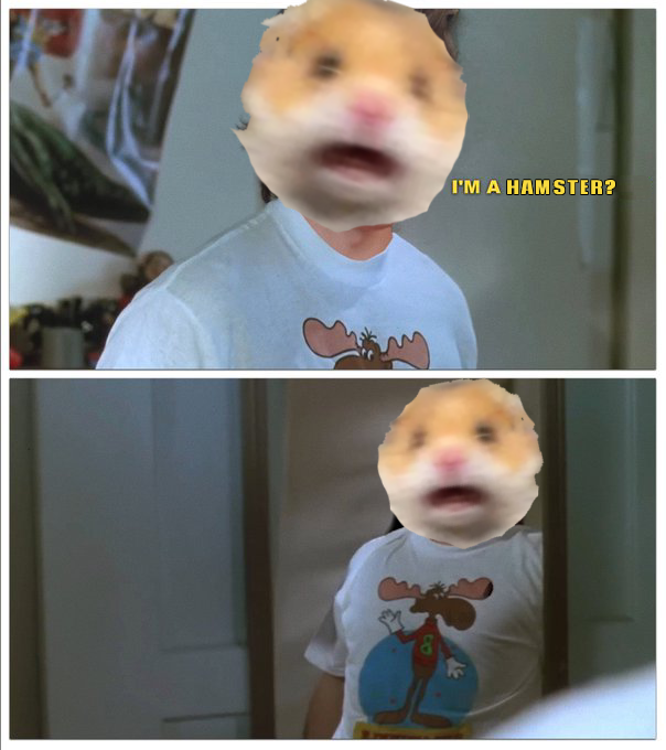 Hamster Screaming tweet media