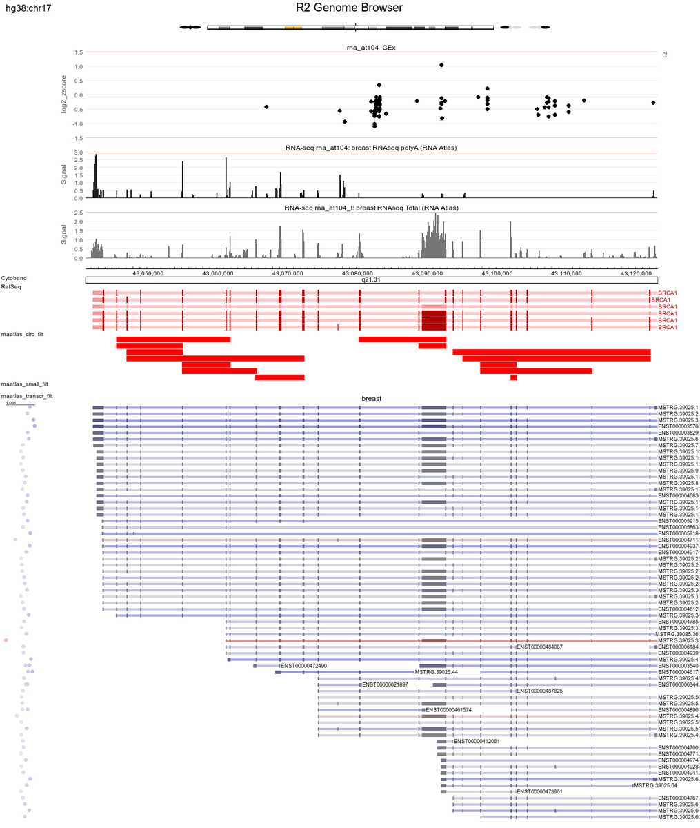 r2_microarray's tweet image. Get a comprehensive view on #isoform expression at nucleotide resolution in more than 300 tissues/cell lines in the RNAAtlas datascope in R2. Here #BRCA1 in normal breast tissue by example

Explore any gene in all the samples in the open online R2platform
r2.amc.nl