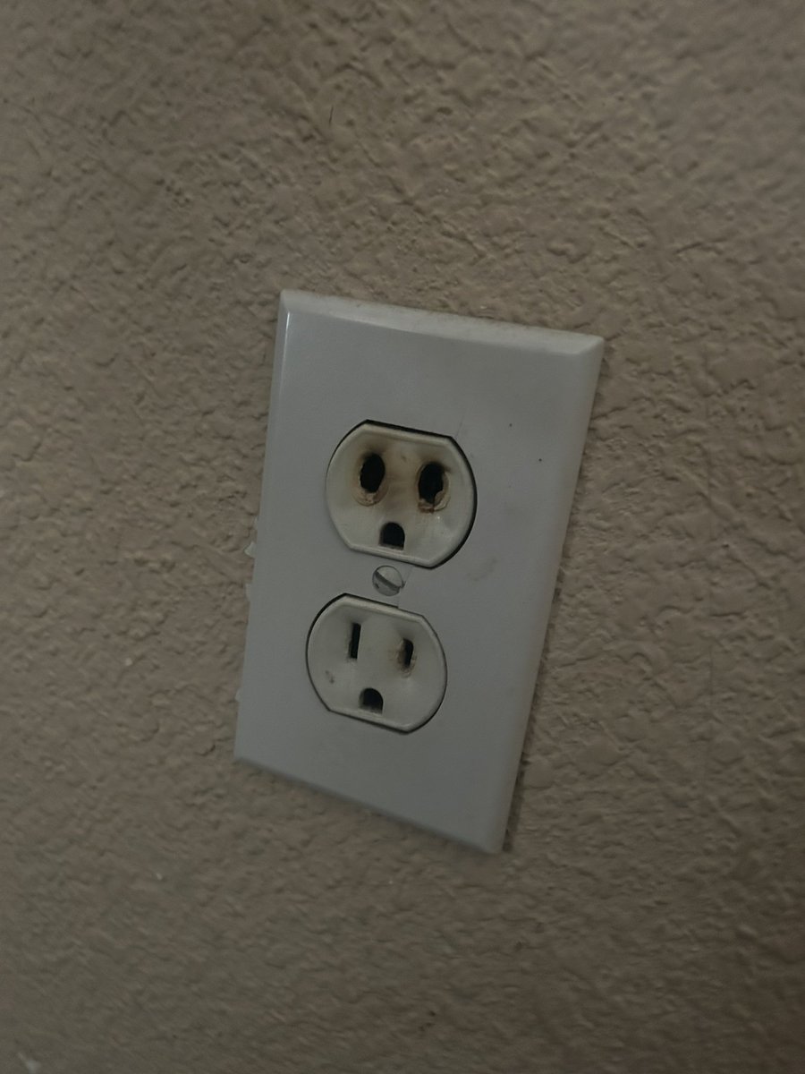 AmbyFloofy! 💜🦊💜 tweet media