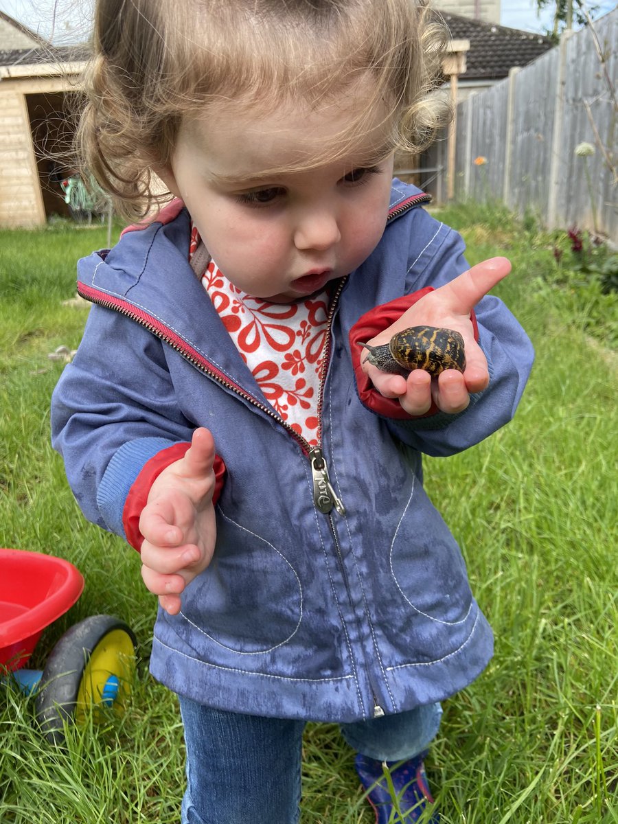k_hoare's tweet photo. @BBCSpringwatch @ChrisGPackham @michaelastracha @IoloWilliams2 @MeganMcCubbin We’re loving watching this year and our nearly 2 year old, Evelyn, is discovering wildlife herself for the first time! https://t.co/LXFRb7JLB9