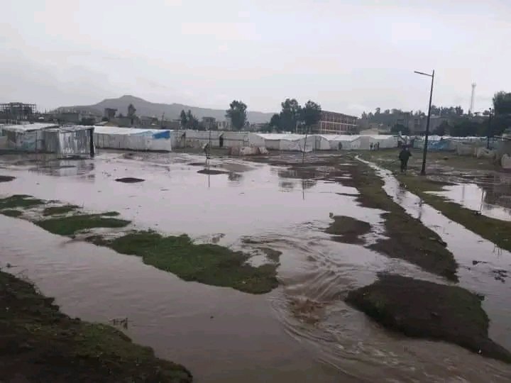 AtakltiG12's tweet photo. 🚨A today's photo shows, a destroyed shelter of #IDP in Taba Weyane IDP camp of Shire Endesase town. Since yesterday, Z rain has been raining and flooded the temporary shelter. Now, Z people was suffering with no shelter and food. @Refugees @UN @hrw
#ReturnBackHome #WesternTigray https://t.co/bXQmg57qEW