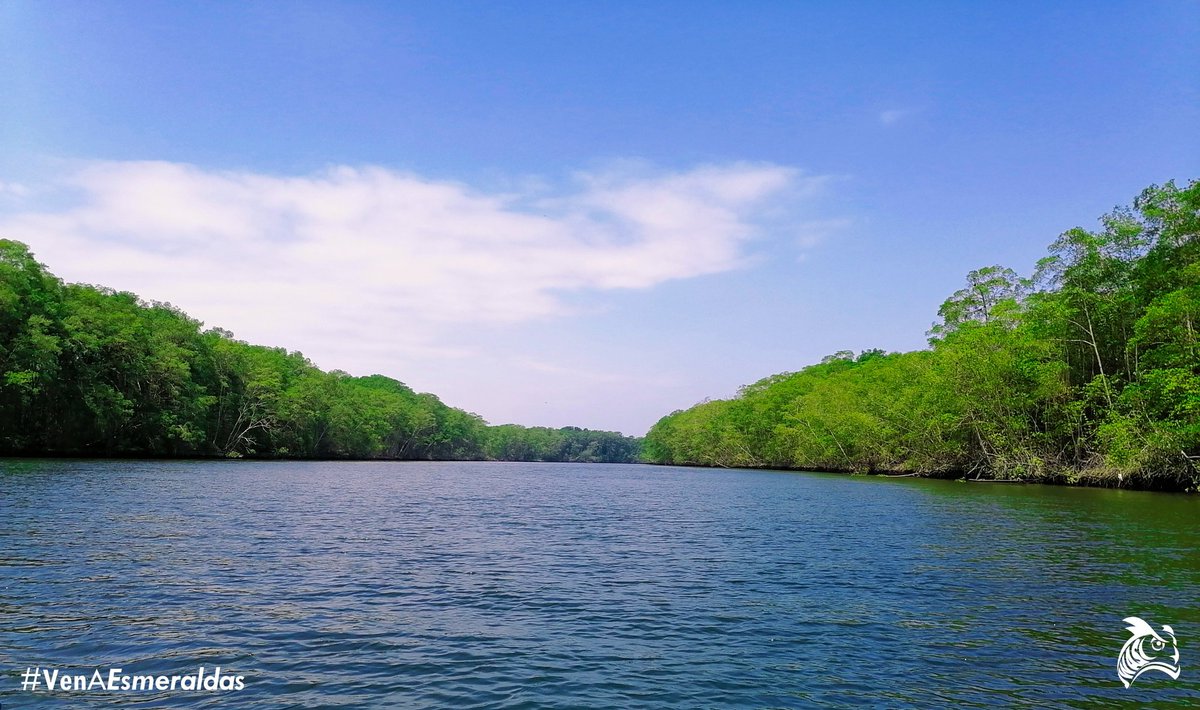venaesmeraldas's tweet photo. Desde el norte de la provincia, en la hermosa San Lorenzo nos llegan estas fotos.
Fotos: Geo W AS
#VenAEsmeraldas🌴
#WeLoveTourism❤️
#DescubreMiEsmeraldas https://t.co/Fv2NWoUOlk