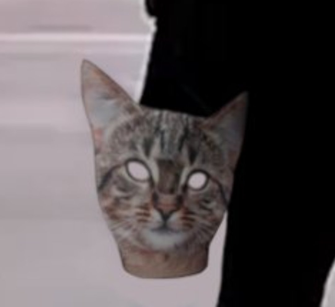 Here is the original, unedited mask for you decoders.

#GME #AMC