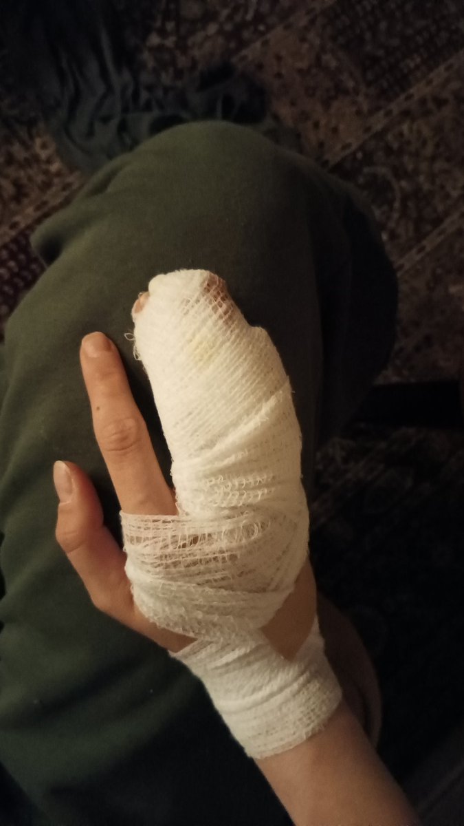 jožko myška mrkvička tweet media