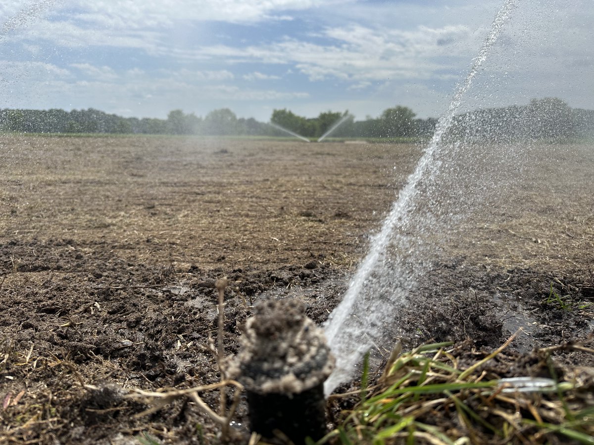 Jim Brosnan, Ph.D. (@utturfweeds) on Twitter photo Our team's #PicoftheMonth for May courtesy of <a href="/ut_BENtgrass/">Ben Pritchard</a>. It'll be interesting to see what June will bring #TNturf Our team's #PicoftheMonth for May courtesy of <a href="/ut_BENtgrass/">Ben Pritchard</a>. It'll be interesting to see what June will bring #TNturf