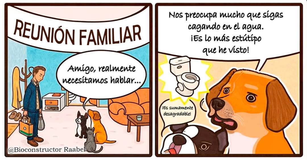 Eco_Raabel's tweet photo. 🫠💚🐶 https://t.co/nYdcsfGzeE