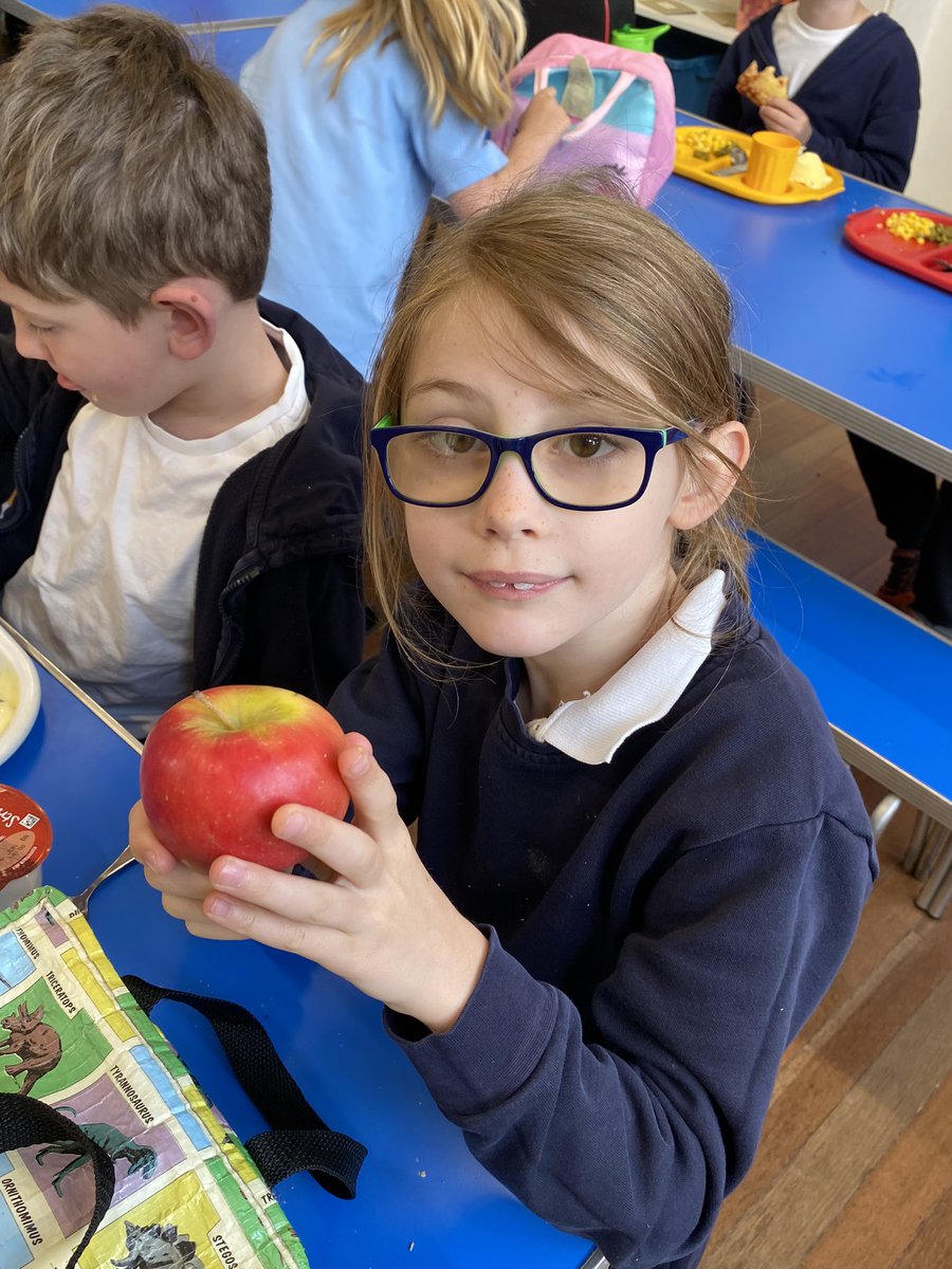HarthillPS's tweet photo. Our healthy lunchboxes are looking delicious! Well done to school council for all their work behind this very positive change! ๐๐๐๐ฅ๐๐ฅ #bekindtoyourbody #kindness https://t.co/G828OFJPQf