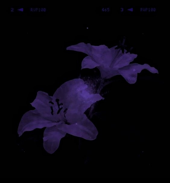 Это Герта. Я сейчас занята, это режим автоматического ответа моей дистанционной куклы: Всем привет.