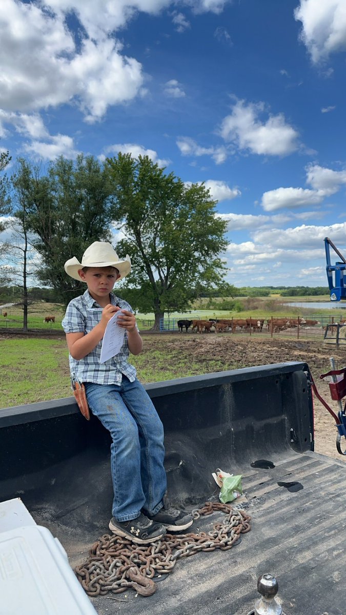 MoYield's tweet image. Some serious note takin goin on working cattle with this cowboy! #Beef #cattleman