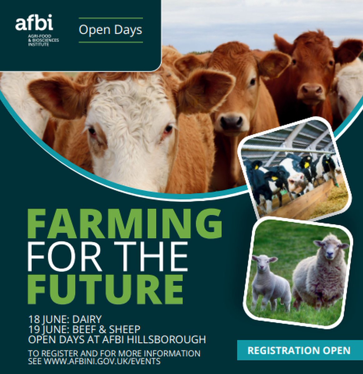 <a href="/ElizabethMagow1/">Elizabeth Magowan</a> <a href="/DiscoverCAFRE/">CAFRE</a> <a href="/UFUHQ/">Ulster Farmers' Union</a> <a href="/daera_ni/">DAERA</a> <a href="/DAERAPermSec/">DAERAPermSec</a> <a href="/QUBIGFS/">IGFS</a> <a href="/BiomassConnect/">Biomass Connect</a> <a href="/AFBI_CEO/">Stanley McDowell</a> <a href="/pleuronect/">Ewan Hunter</a> <a href="/lisburnccc/">LCCC</a> <a href="/LMCNI/">LMC NI</a> <a href="/natsheep/">National Sheep Association</a>