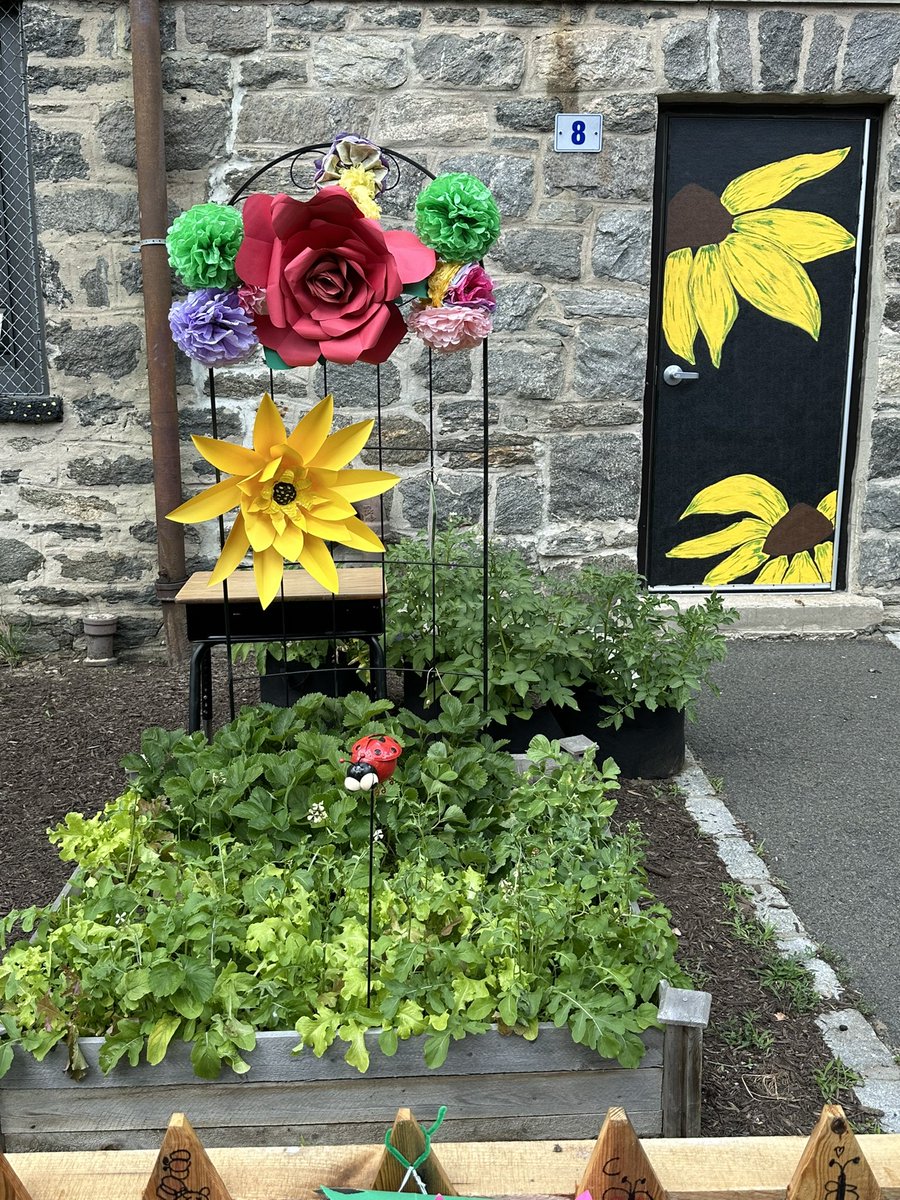 DrcarrollPC's tweet image. Beautiful, heart-warming event at Edison today in honor of a beloved teacher, colleague, and friend to so many. The Clara Jones Kindness Garden will be an inspirational and peaceful place for all to enjoy. Congratulations to the Edison community for bringing this dream alive.