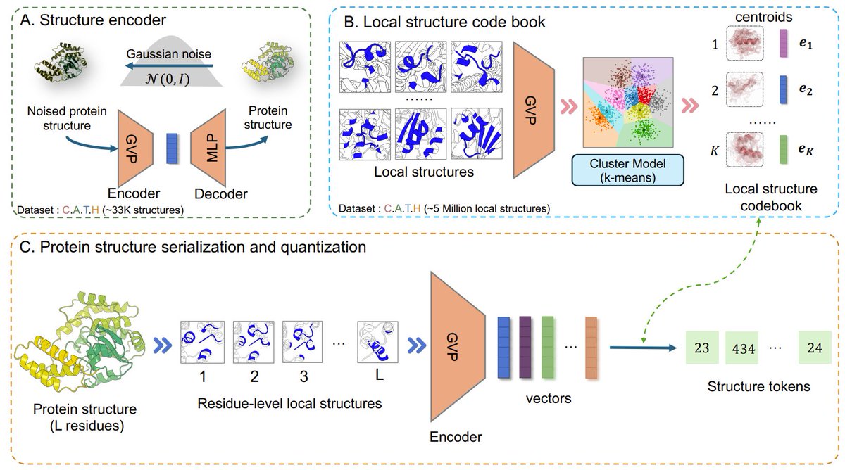 LeoTZ03's tweet photo. ProSST: Protein Language Modeling with Quantized Structure and Disentangled Attention
- Uses GVP to encode local structures into dense vectors, and k-means clustering to create a codebook of discrete tokens
- Trains MLM with both sequences and strucutre tokens with disentangled attention
Preprint: https://t.co/dwNbSJM8WD