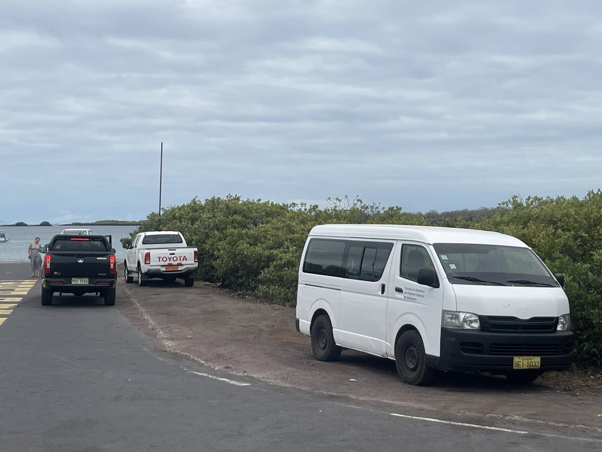 BitacoraEc's tweet image. #Galapagos las aves mueren por el exceso de velocidad

Es frecuente encontrar decenas de aves aplastadas sobre el asfalto en un solo viaje, en la vía entre Puerto Ayora y el canal de Itabaca. Hoy se contabilizaron 12 pájaros muertos como canarios (Setophaga pectechia), cucuves,…
