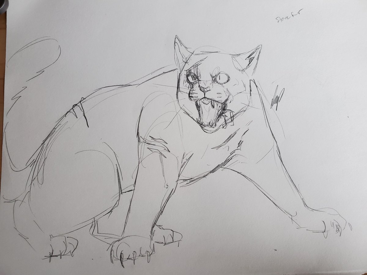 salt_j_art's tweet photo. a sketch from today versus a full render from 3 years ago 
maybe the new sketch will be turned into a full piece too :>
#warriorcats #warriorcatsart #stonefur https://t.co/qBfx4yAFfq