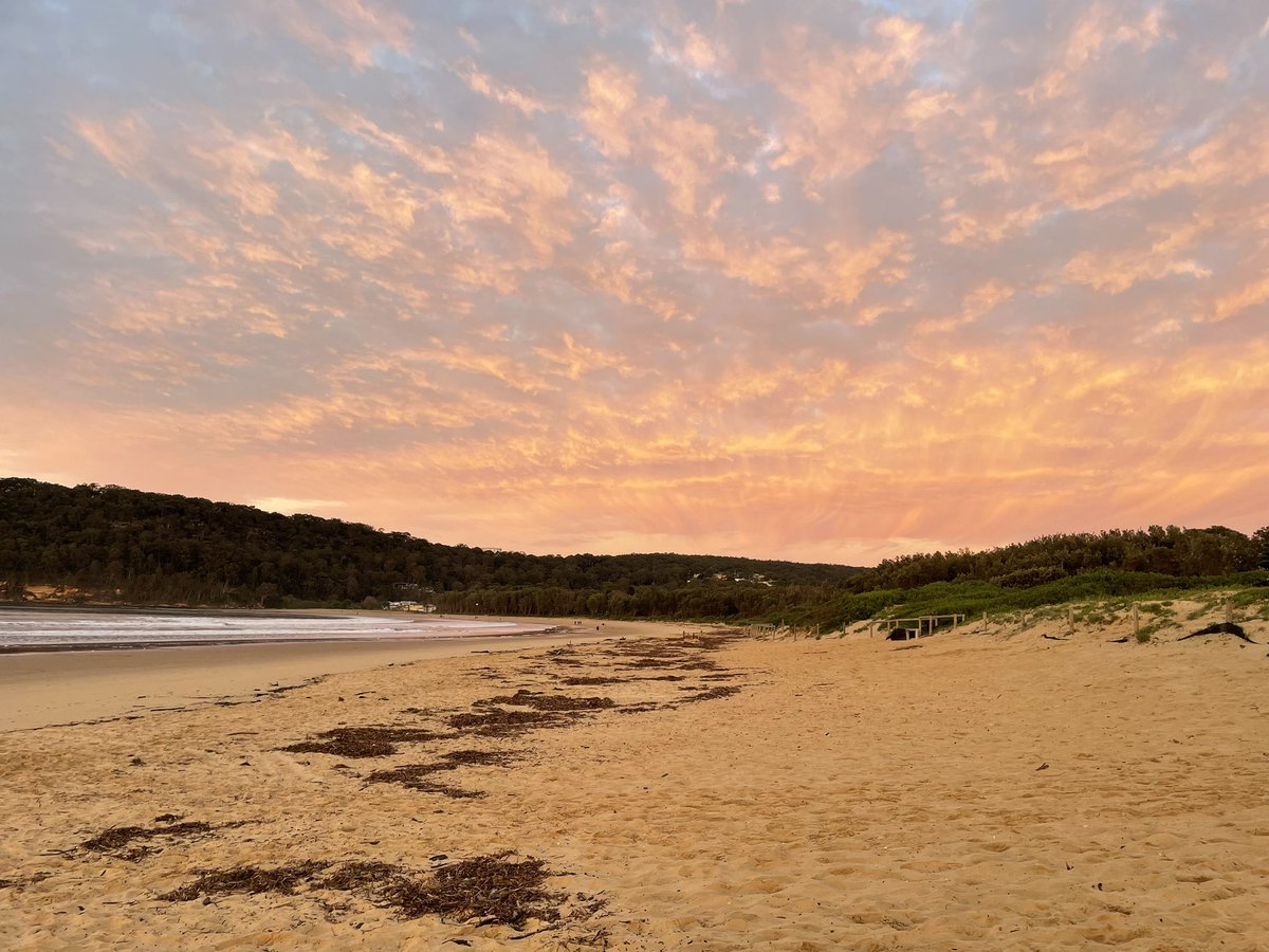 Bundogs's tweet photo. Back at Umina with the crew but a small yarding today. Cracker of a morning for a dip and then the warm up process begins 😉 #getinandgetwet #layeruponlayer #eggandbaconrollhelps https://t.co/RxKN9mKReo