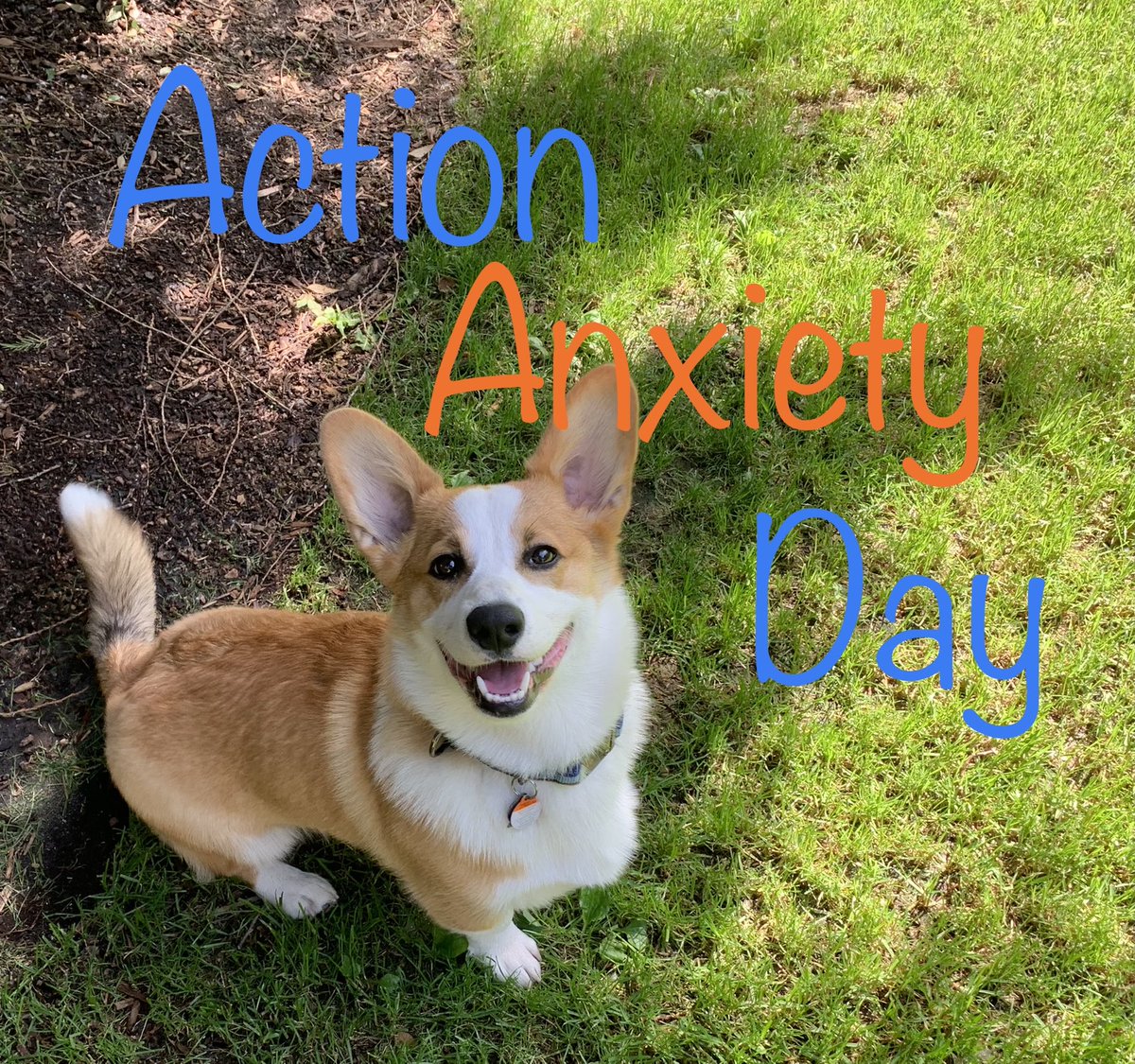 It’s #ActionAnxietyDay . #Anxiety can be like a good watch dog alerting us to potential danger. But if anxiety never stops barking, even when risk is low, it can be problematic. Check out Chilli the dog’s fave anxiety resources at <a href="/Anxiety_Canada/">Anxiety Canada</a> .