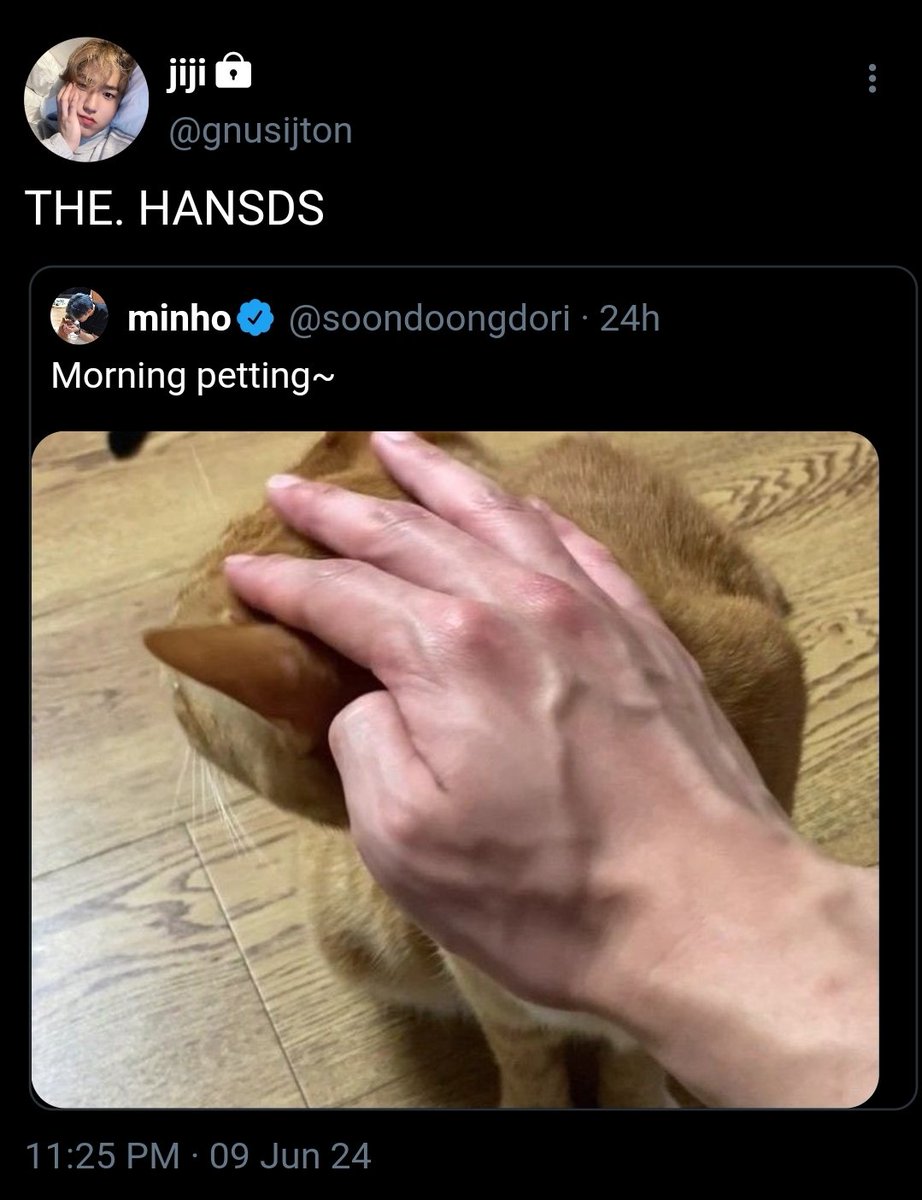 hanholefan's tweet photo. 🐿🐰 mnsvng socmed au !!

where mnh0 is a popular cat content creator n jsvng is completely obsessed with him https://t.co/747QSKUuWP