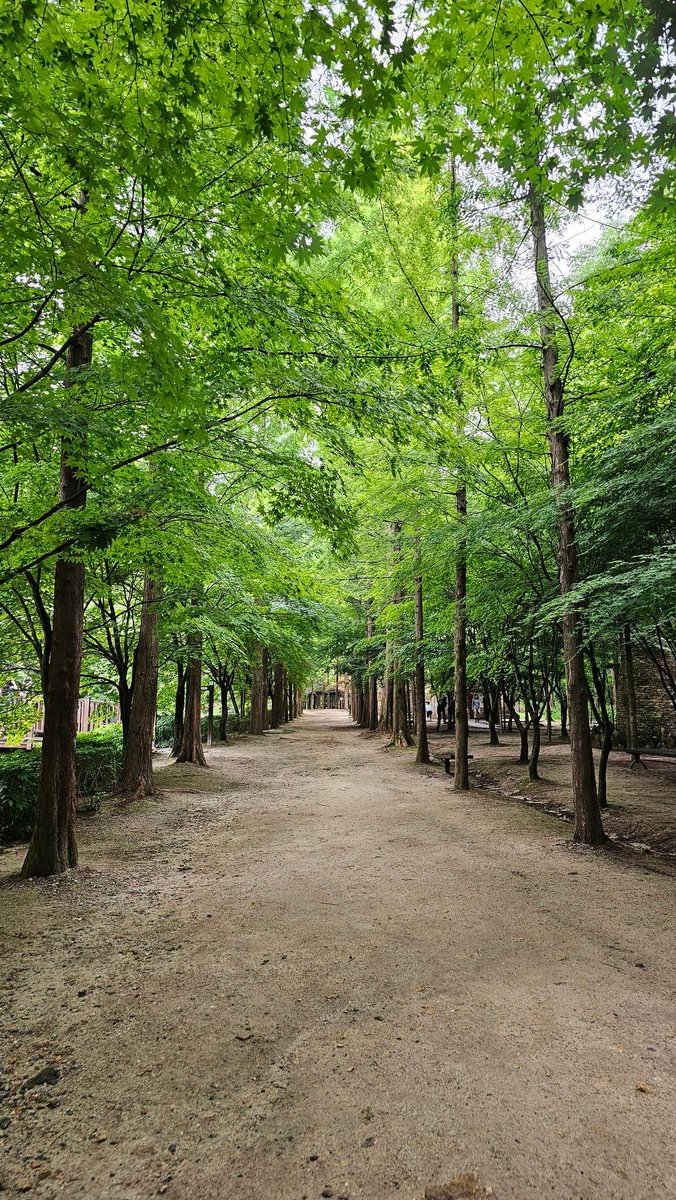 대전 동구 산내로
상소동 산림욕장