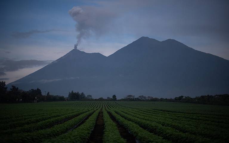 cadenapolitica's tweet image. NOTICIAS| #Internacional #Latam #Explosiones @insivumehgt
🌋Actualización de la situación del Volcán de Fuego en Guatemala

Más información: cadenapolitica.com/2024/06/10/act…