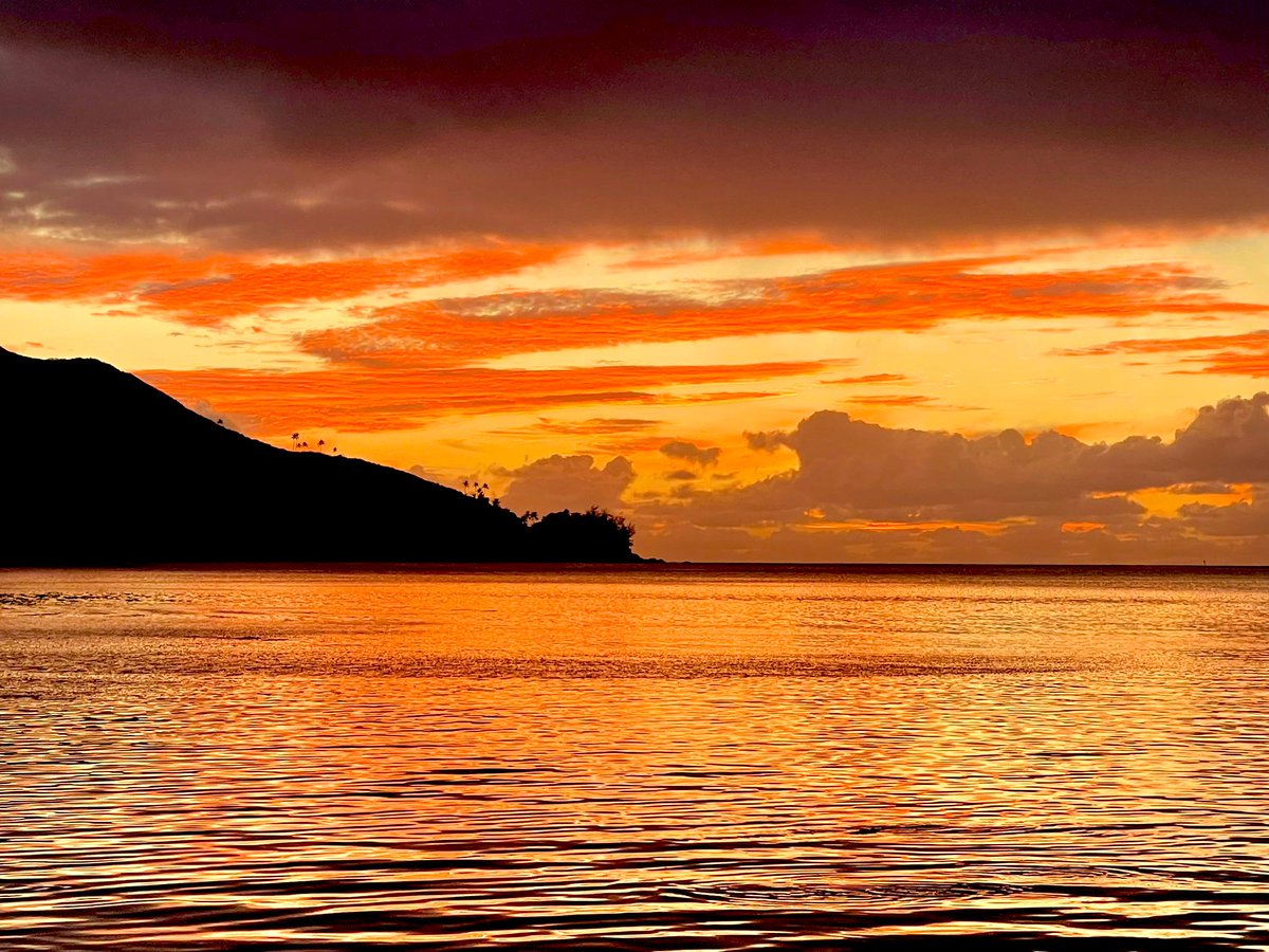 TheBoneExpert's tweet photo. Kadavu Sunsets 🔅are Top Tier https://t.co/HSVIRaNnJt