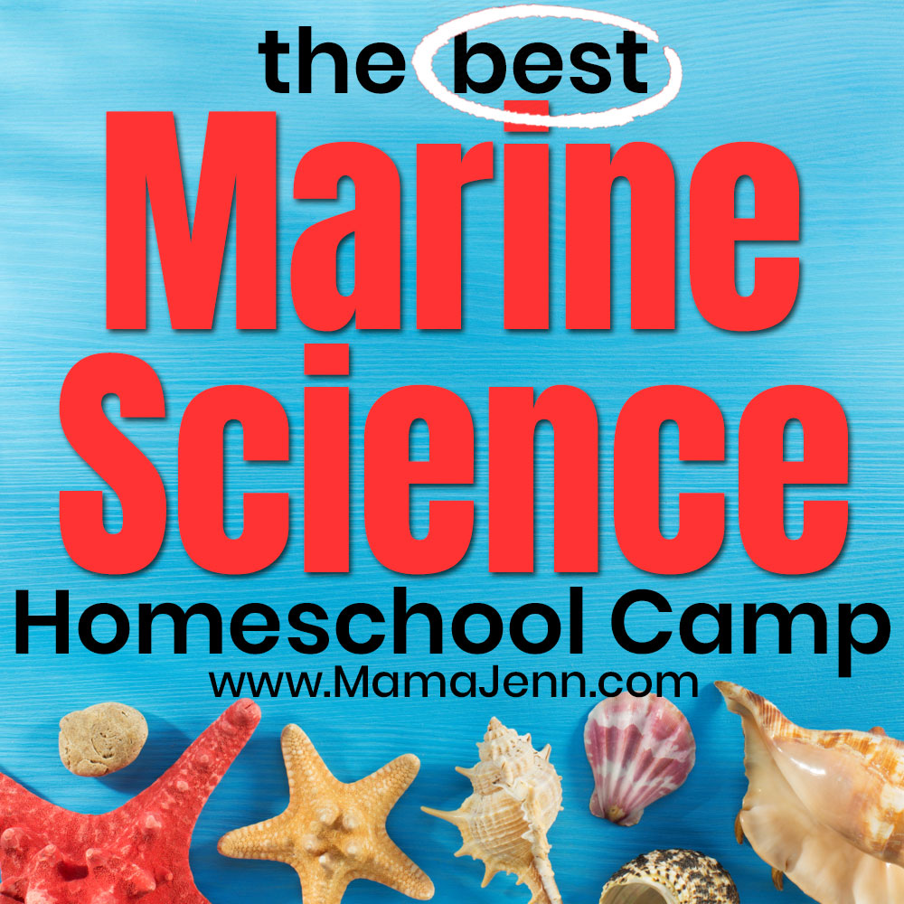 Greg Landry’s Homeschool Marine Science Camp is an amazing week-long experience jam-packed with learning, fun, and long-lasting memories! It is THE BEST marine science camp for homeschoolers!! Read about our experience: mamajenn.com/homeschool-mar…