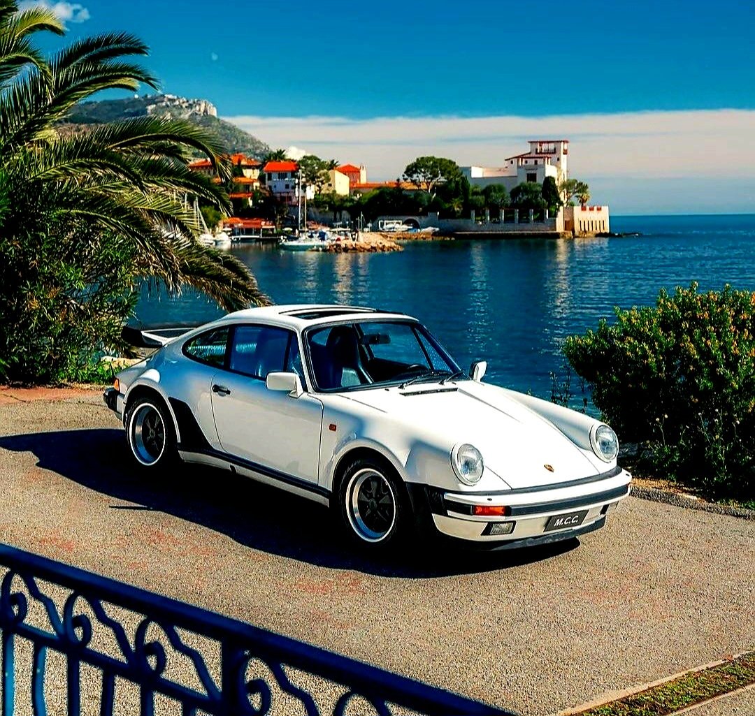 Melanie Coleman tweet media