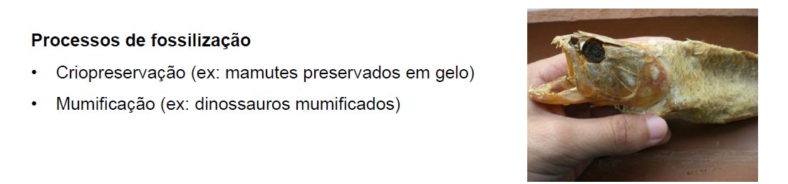 _BangtanBang's tweet photo. Ah, sim, um mamute preservado em gelo https://t.co/rqGzl8jpGW