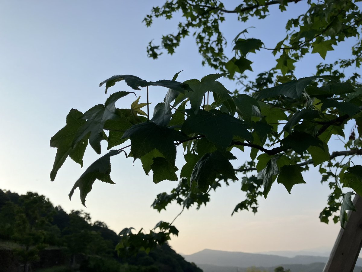 KerocV's tweet photo. So Barnabas went to Tarsus to look for Saul, and when he had found him, he brought him to Antioch.
#Acts11 #聖バルナバ使徒
初代教会で一番好きなのはバルナバ
共同体に受け入れられ難かったパウロを捜し出して共に宣教するようになる
その後の仲違いの痛みも含めて
とても身近に感じる https://t.co/D5HfA2kGso