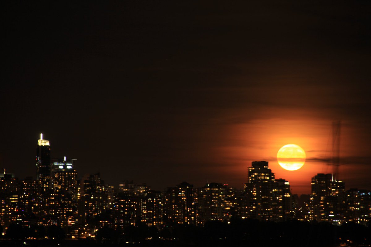 インド tweet media