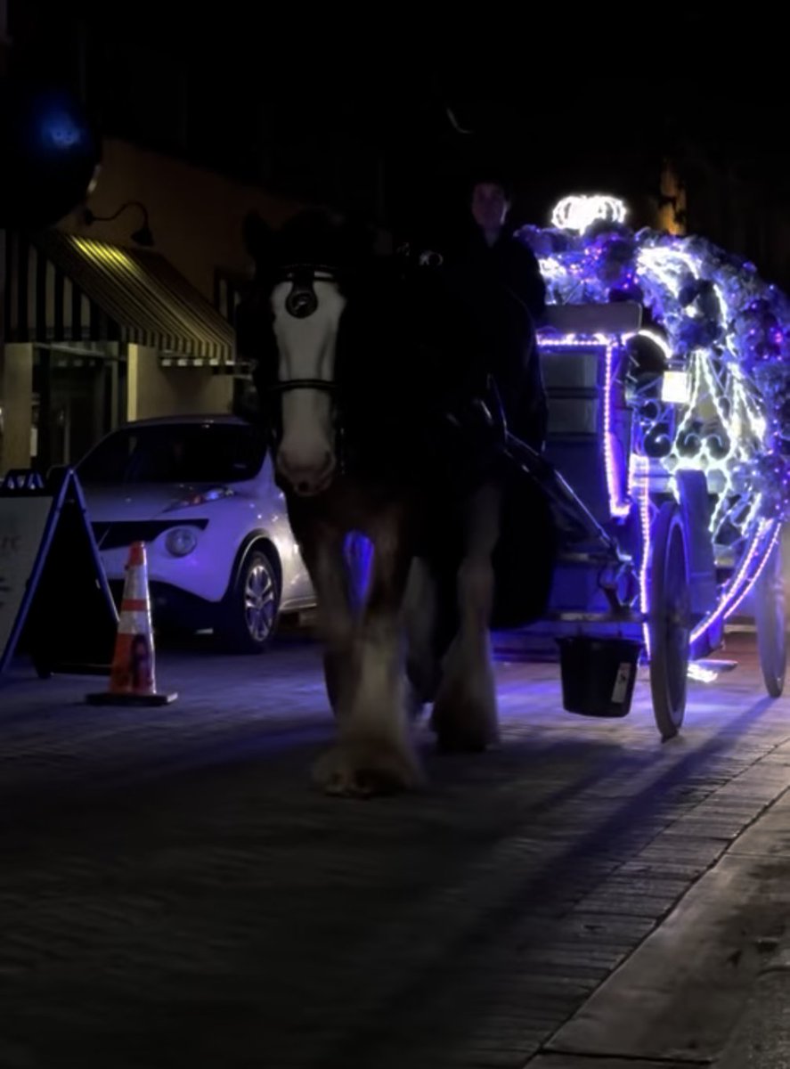 Dear 
<a href="/Ron_Nirenberg/">Ron Nirenberg</a> 
Please #BanHorseCarriages we as tourists do not want to see horses on city streets.
<a href="/COSAGOV/">City of San Antonio</a>
<a href="/COSA_CD1/">San Antonio City Council District 1</a>
<a href="/COSA_CD2/">SA City Council District 2</a>
<a href="/COSA_CD5/">Council District 5</a>
<a href="/COSA_CD6/">Council District 6</a>
@BruceWDavidson
<a href="/VisitSanAntonio/">Visit San Antonio</a>
#BanHorseCarriages
#SanAntonio
#HumaneTourism
#dontwaitforadeath
#dontwaitforalawsuit
RT