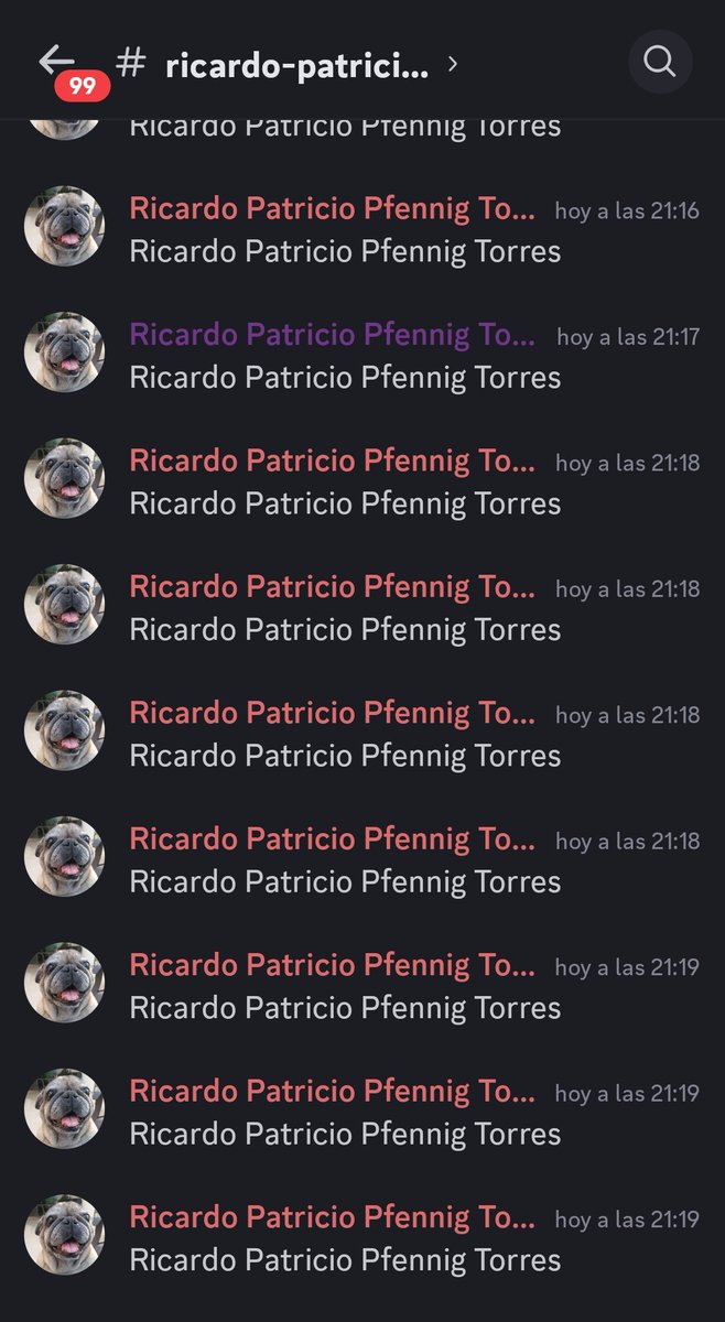 Ricardo Patricio Pfennig Torres