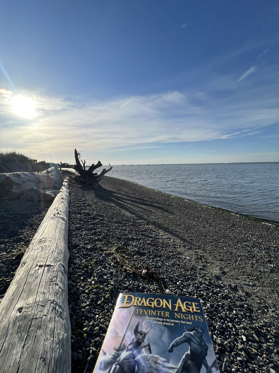 KeiraSera's tweet photo. Catching up on some light reading during my off time on a work trip ⚔️ #dragonage #tevinternights #DAV #Veilguard https://t.co/VZOdAJm1XT