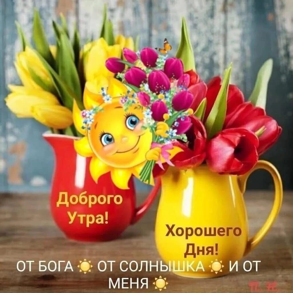 Алексей (@aasolomatin) on Twitter photo 