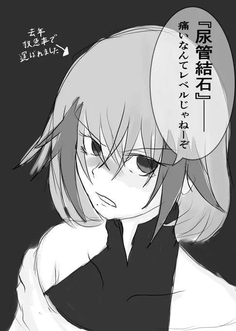 尿路結石、字面が面白いのでネタにされがちだけど本当にヤバいからね……(生ほうれん草食べ過ぎ+水分補給不足のダブルコンボで無事できちゃった人) 