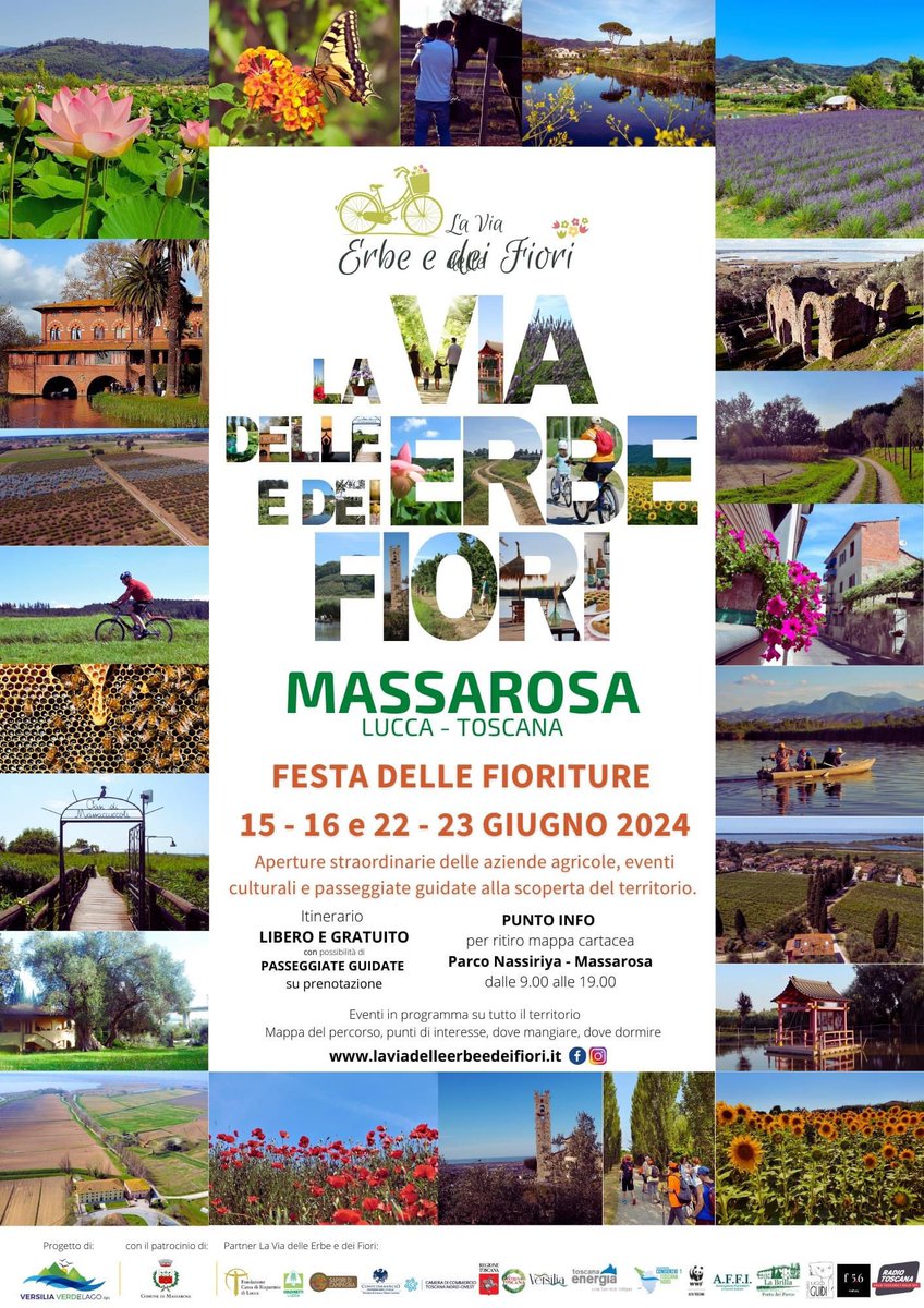 CinziaDonati1's tweet photo. 🌺 Aperture straordinarie della coltivazione di Fiori di Loto di Massarosa 👉 15-16 e 22-23 giugno 
👉 Ho parlato dei Fiori di Loto di Massarosa qui 👉 https://t.co/pptt0q1pxa
.
#laviadelleerbeedeifiori #massarosa #versilia #toscana #fioridiloto https://t.co/VrZLdg5WB3