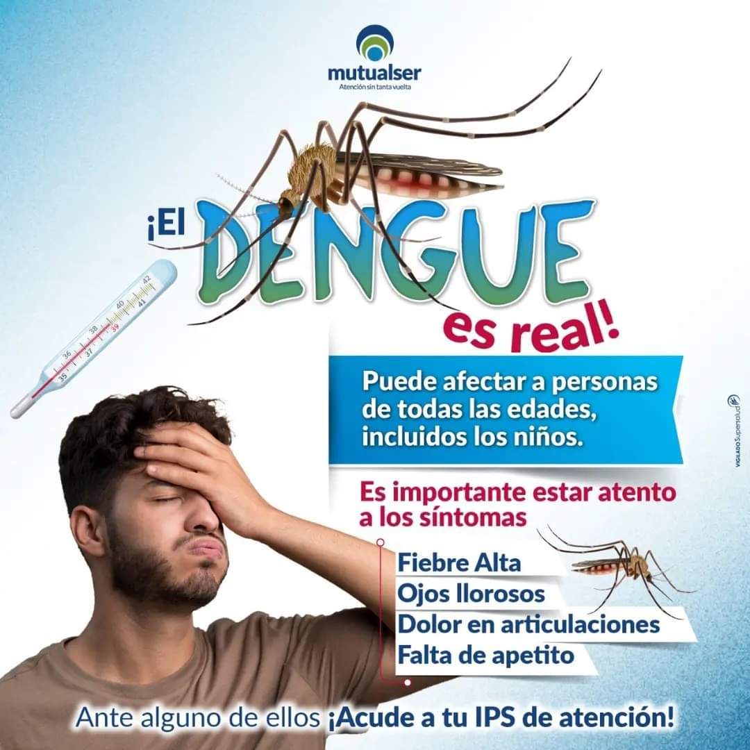 MagdNoticias's tweet photo. El dengue es una enfermedad grave transmitida por mosquitos. Para prevenirlo, elimina criaderos de mosquitos en tu entorno, usa repelente y coloca mosquiteros en ventanas y camas.

¡Cuida tu salud y la de tu familia!

#mutualsereps #mutualserepspensandoenti https://t.co/7wcsN9QsdM