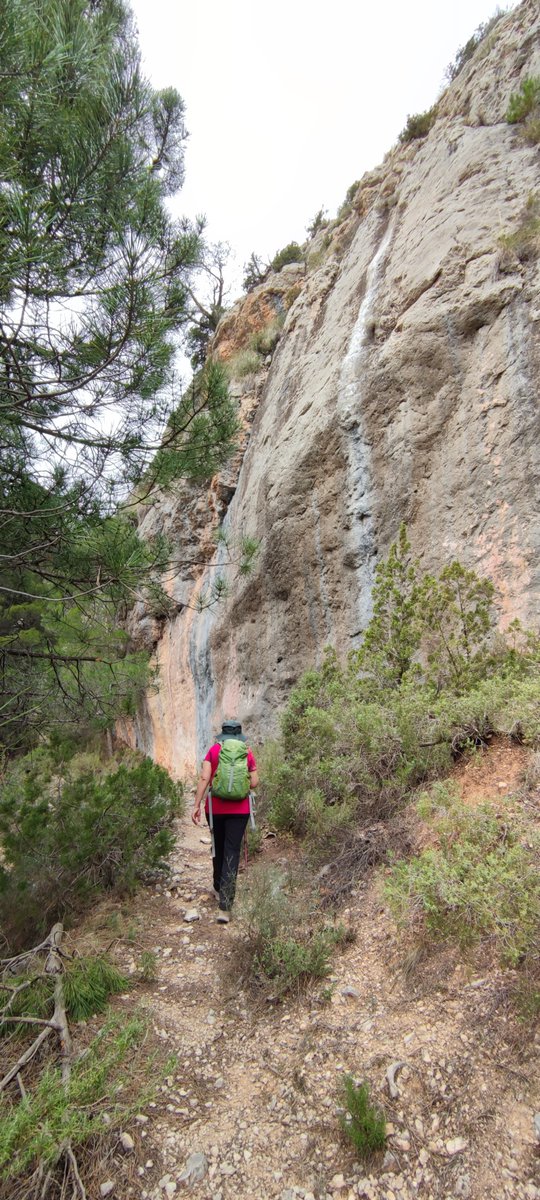 La_Carrasca's tweet image. ¡Última ruta antes del verano! ☀️
16 de junio: La Risca, Río Alhárabe y Pinturas Rupestres + Comida fin de temporada
¡Disfruta de la belleza y el patrimonio del término municipal de Moratalla!
Más información e inscripciones: lacarrascaorg.wordpress.com/2024/06/04/la-…