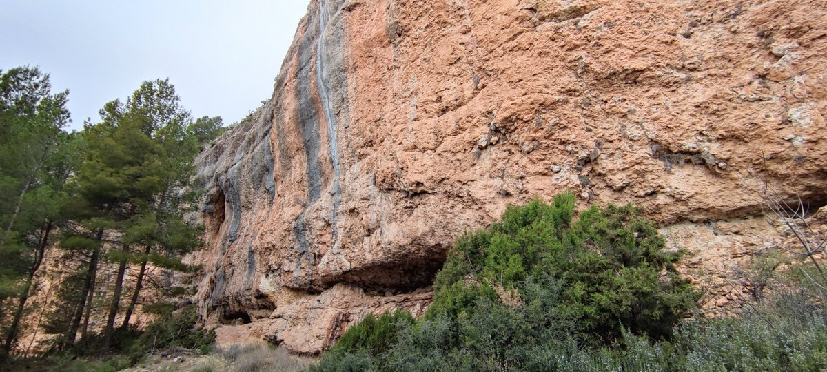 La_Carrasca's tweet image. ¡Última ruta antes del verano! ☀️
16 de junio: La Risca, Río Alhárabe y Pinturas Rupestres + Comida fin de temporada
¡Disfruta de la belleza y el patrimonio del término municipal de Moratalla!
Más información e inscripciones: lacarrascaorg.wordpress.com/2024/06/04/la-…