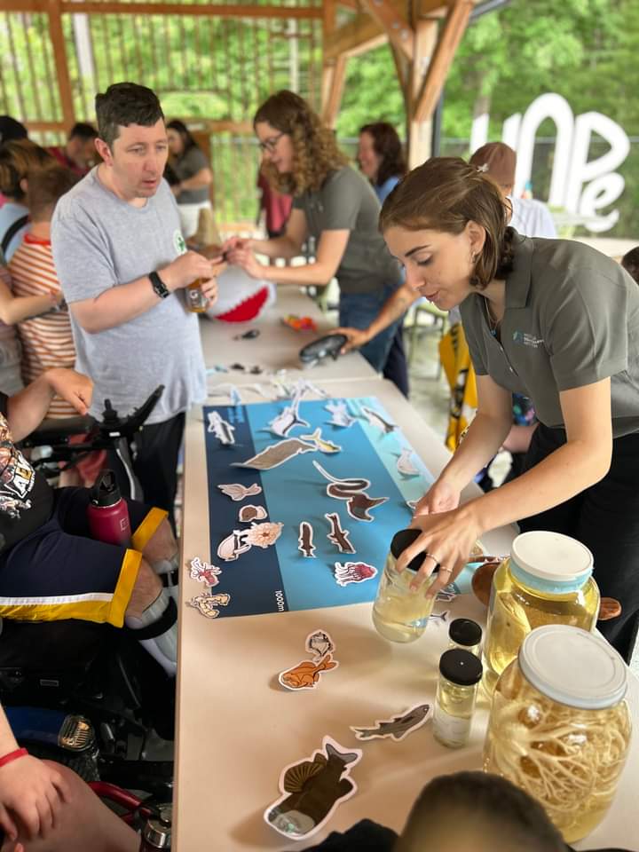 seaWillis's tweet image. Aways love visiting @HouseofPossible! This time talking about the #oceantwilightzone from crazy looking little fishes all the way up through #toppredators with @WHOI

Bruce the shark was perhaps the star of the show 🌟 He got quite a lot of hugs (&amp;amp; selfies) 🤗

📷 by HOPe