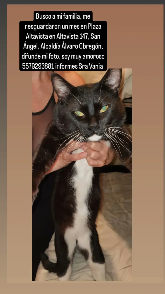 Vanessa del Rocío tweet media