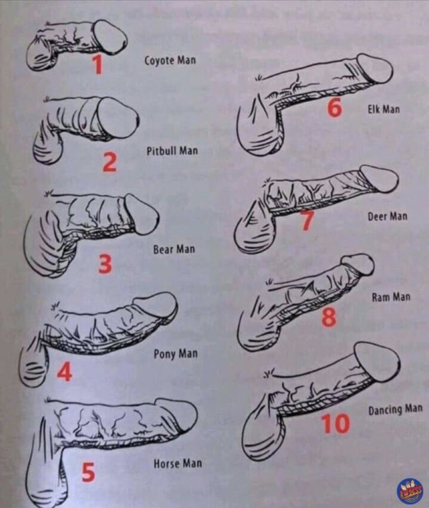 Pengen swing tweet media