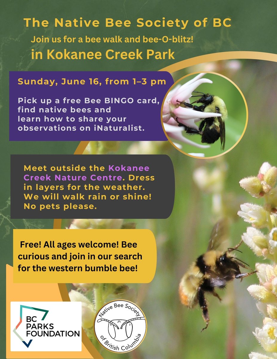 beespeaker tweet media