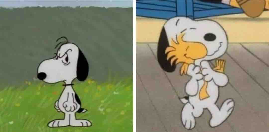 Yo con las personas // Yo con los animalitos