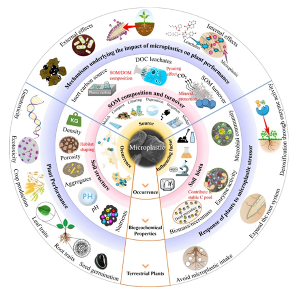 Chen, Y., Li, Y., Liang, X. et al. Effects of microplastics on soil carbon pool and terrestrial plant performance. Carbon Res. 3, 37 (2024). doi.org/10.1007/s44246…
